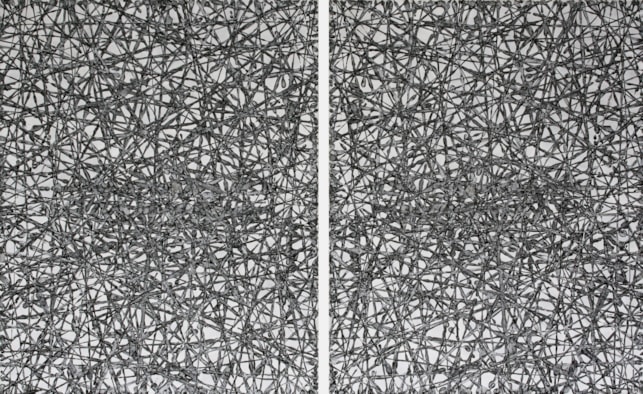 Frits Klaver-Tweeluik  Strooilijnen IX 2015, 160x100cm copy II
