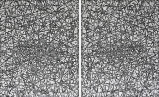 Frits Klaver-Tweeluik  Strooilijnen IX 2015, 160x100cm copy II