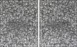 Frits Klaver-Tweeluik  Strooilijnen IX 2015, 160x100cm copy II