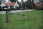 Boom in het Engelse park volledig doorgezaagd