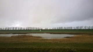 De skoot