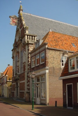 ooster_color_groot