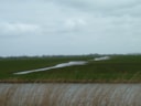 Mijzenpolder