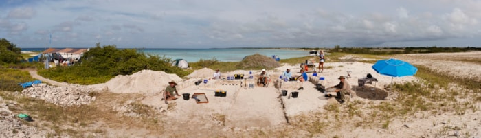Figure 4. Partial view of the 2010 excavation of the earthwork feature by Jose Voglar