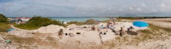 Figure 4. Partial view of the 2010 excavation of the earthwork feature by Jose Voglar