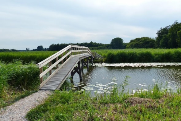 De Weelen