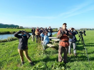 Vogels kijken