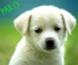 Pup