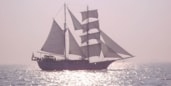 bounty-informatie
