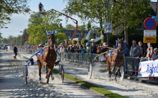 Finale Wognum 2015