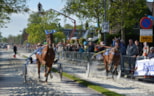 Finale Wognum 2015