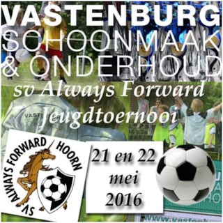 Vastenburg Schoonmaak en Onderhoud