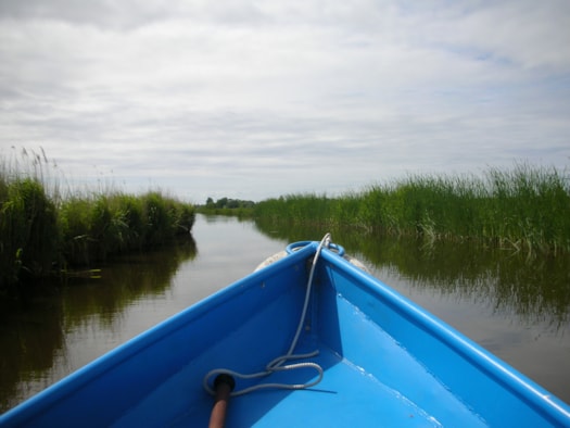 Westfriesland varen[2][9]