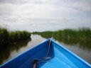 Westfriesland varen[2][9]