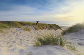 Zin in de Zomer! 1