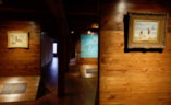 17 Zuiderzeemuseum_Wild van water_Zaal Poezie2_Foto Madelon Dielen
