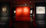 17 Zuiderzeemuseum_Wild van water_Zaal sensatie_Foto Madelon Dielen