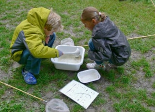 Waterschat en libellelarf