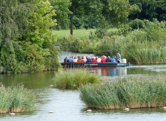 Fluistervaren - stap in De Wilskracht