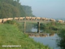IJsboerderij Schapenstreek