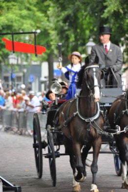 Ringsteken