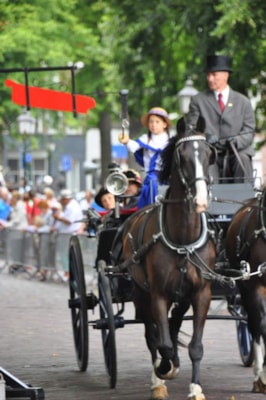 Ringsteken
