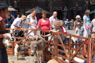 Hoornse Woensdagmarkt