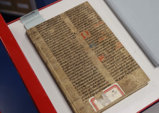 Lidmatenboek