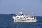 Stortemelk op Markermeer