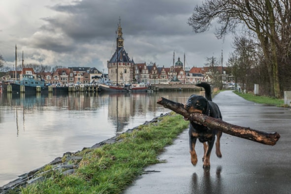 Benno's fotografie