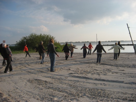 2015 Tai chi Tao lutjesstrand