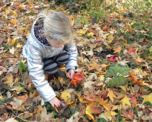 herfst