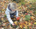 herfst