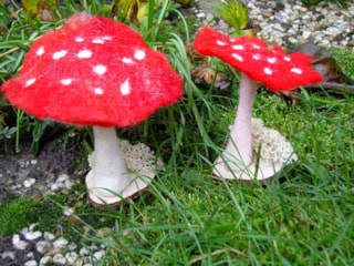 paddenstoel vilten