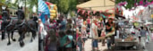 weekmarkt enkhuizen