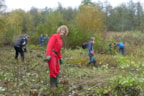 Plezier in natuurwerkdag 5-11-16