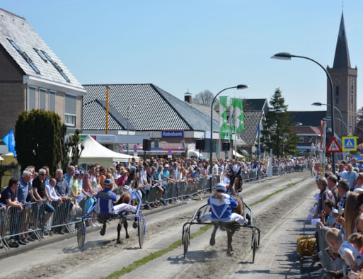 Pers-Wognum2016