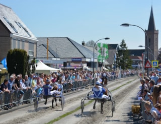 Pers-Wognum2016