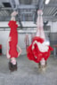 20161126_293-7423-Matroesjka - Eeuwig Vlees - STAAND - Copyright Curly and Straight