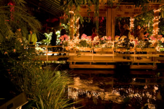 Kerst feest Orchideeen Hoeve..