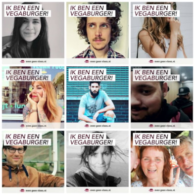 vegaburgercollageIV