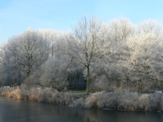Streeksprookjesbos 29-1-17