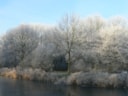 Streeksprookjesbos 29-1-17