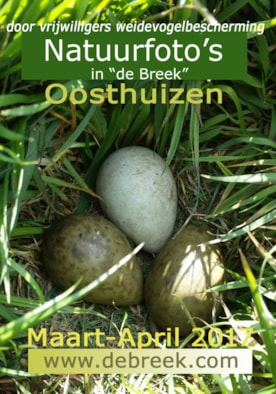 009 poster de breek met oosthuizenkopie