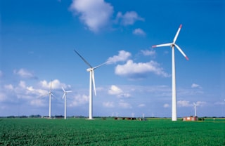 windpark