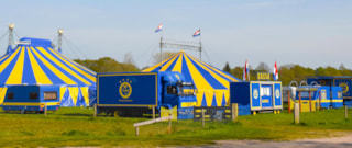 circus-sijm