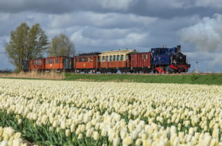 K.F. van der Bent 130414 (3)