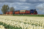 K.F. van der Bent 130414 (3)