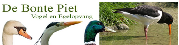 bontepiet-logo