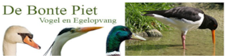 bontepiet-logo